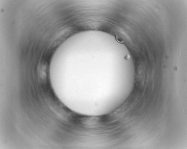 X0000088150122200705291432