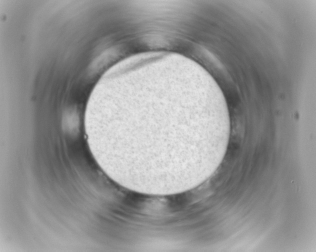 X0000088150124200705291432