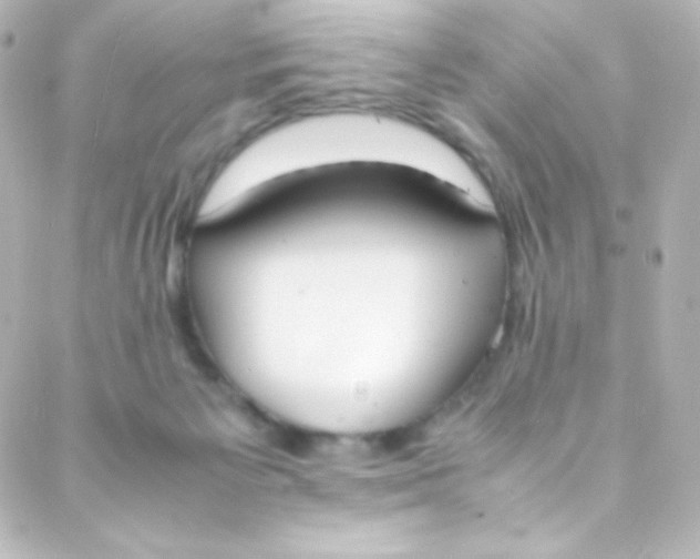 X0000088150125200705291432