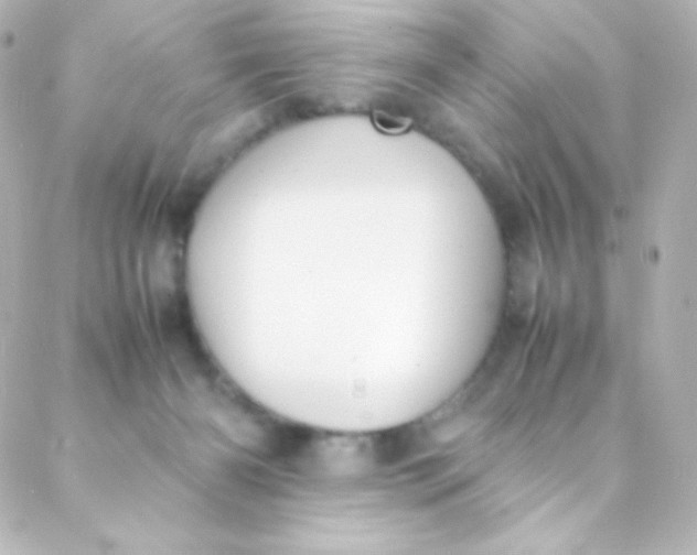 X0000088150126200705291432