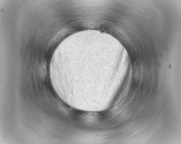 X0000088150128200705291432