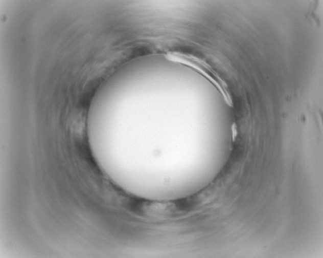 X0000088150129200705291432