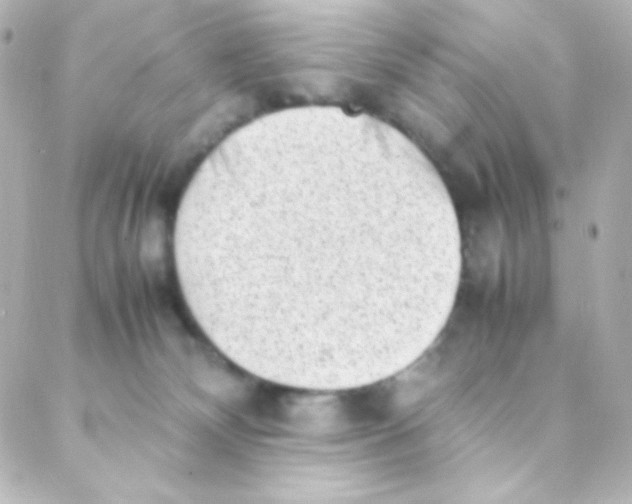 X0000088150132200705291432