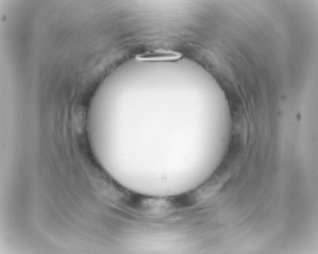 X0000088150133200705291432