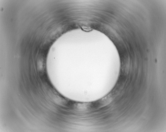 X0000088150134200705291432