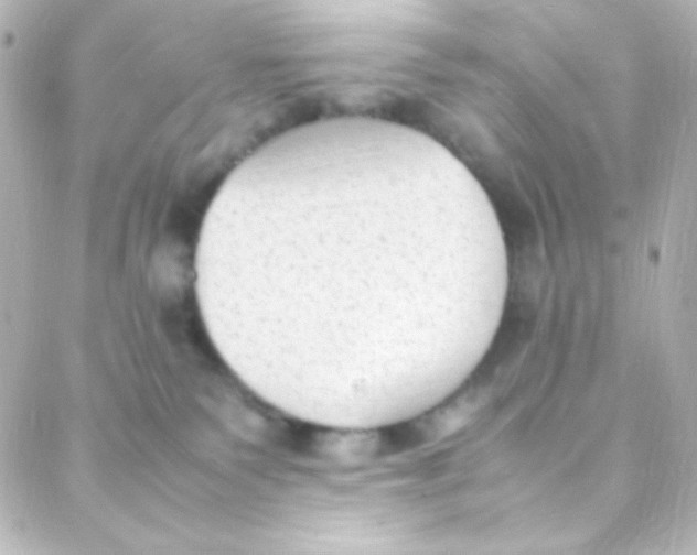 X0000088150135200705291432