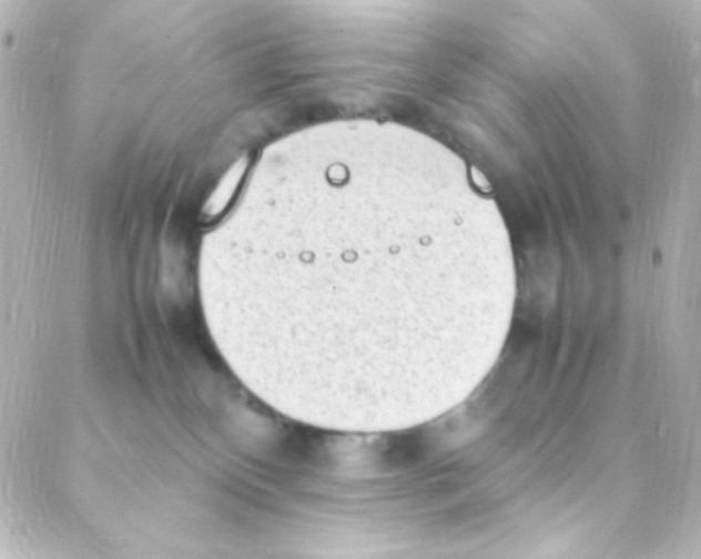 X0000088150136200705291432