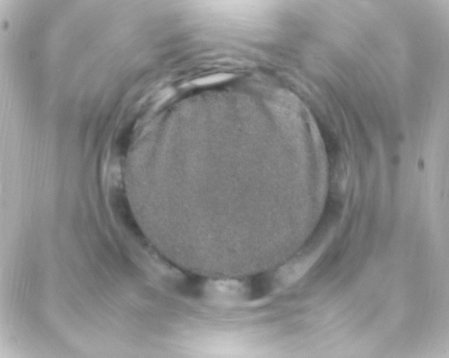 X0000088150137200705291432