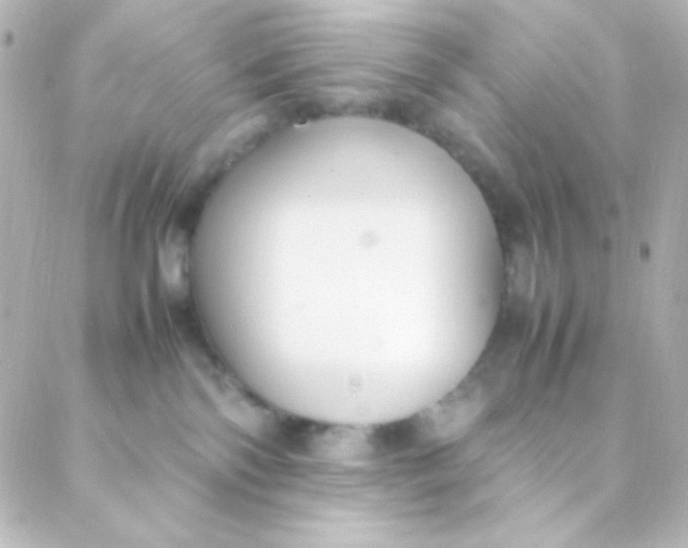 X0000088150138200705291432