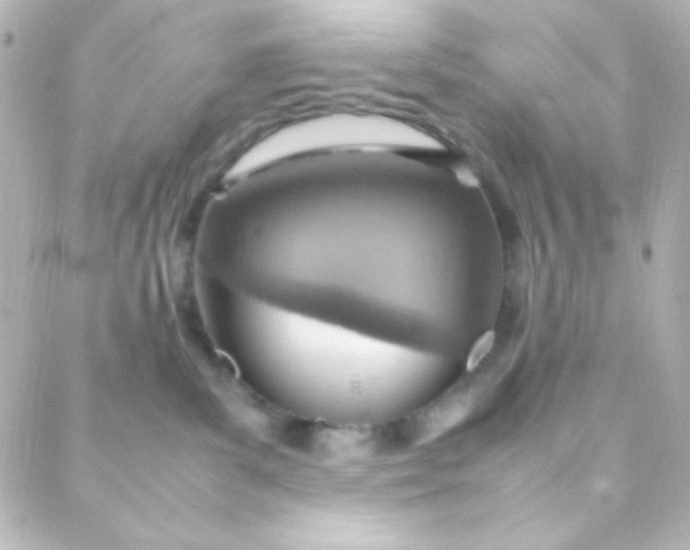 X0000088150139200705291432