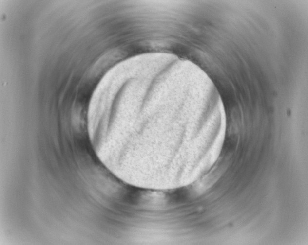 X0000088150140200705291432