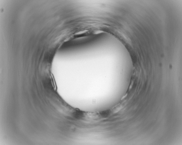 X0000088150141200705291432