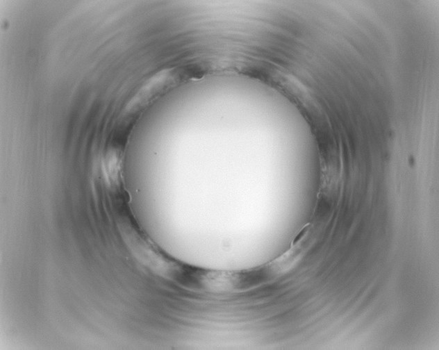 X0000088150142200705291432