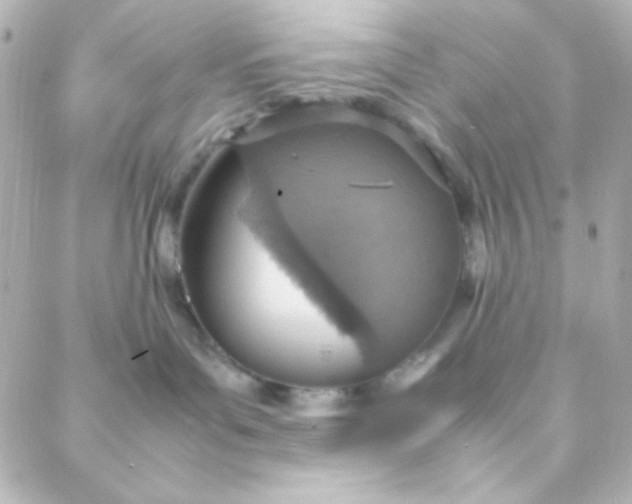 X0000088150143200705291432