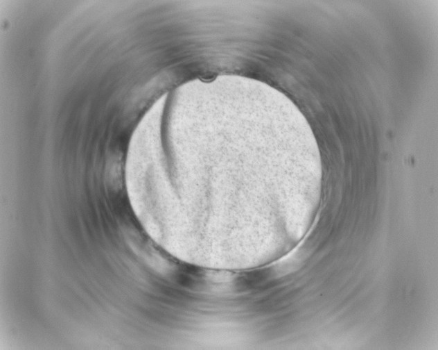 X0000088150144200705291432