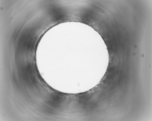 X0000088150146200705291431