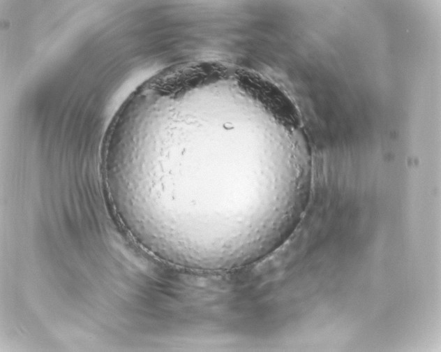 X0000088150147200705291431