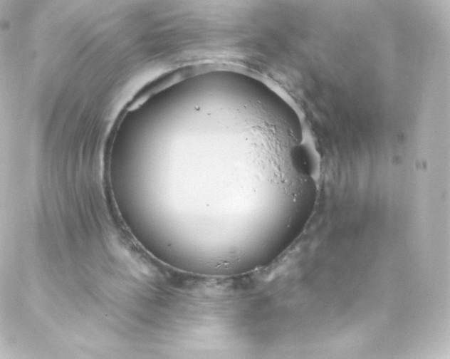 X0000088150148200705291431