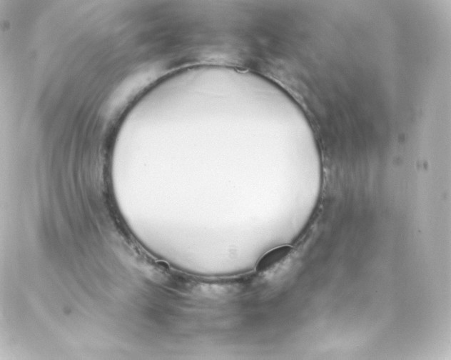 X0000088150149200705291431