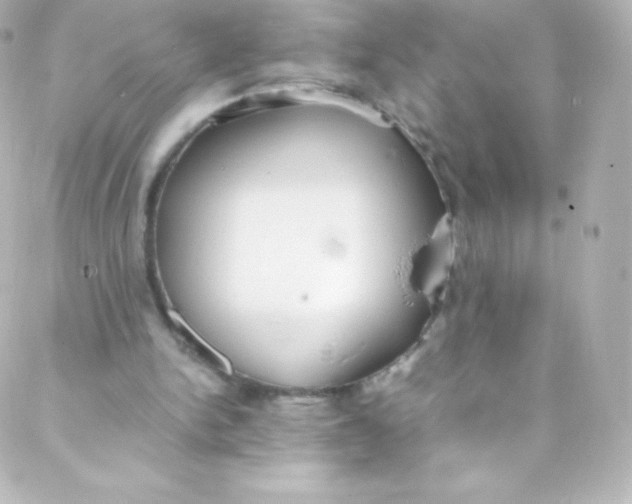 X0000088150150200705291431