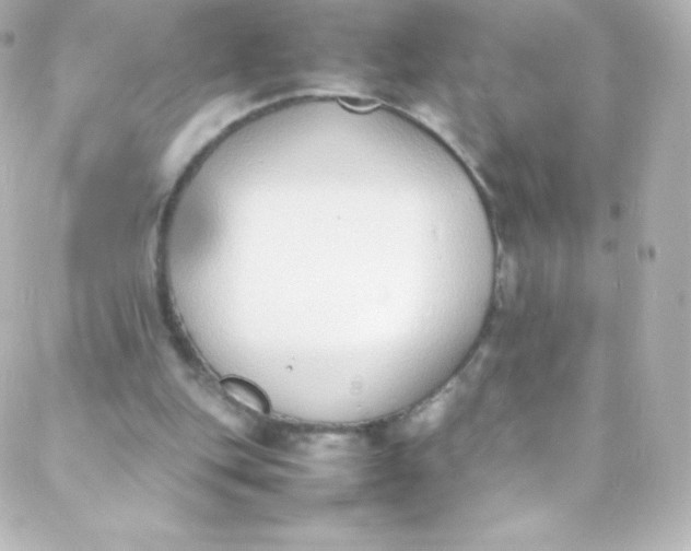 X0000088150151200705291431