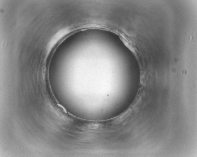 X0000088150152200705291431