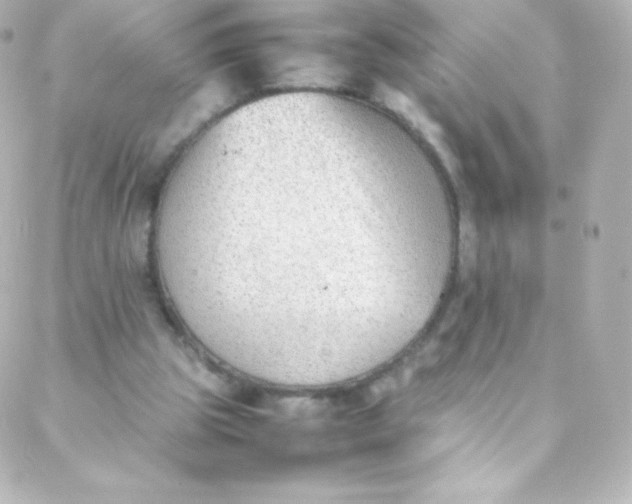 X0000088150153200705291431