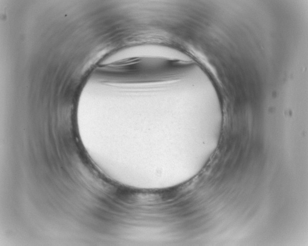 X0000088150154200705291431