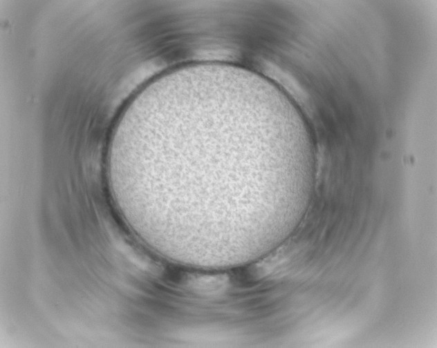 X0000088150155200705291431