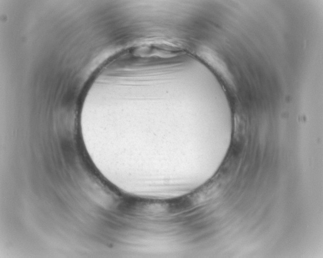 X0000088150156200705291431