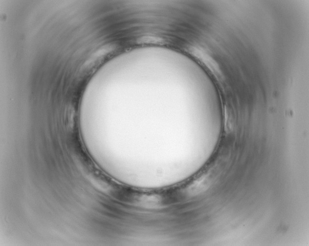 X0000088150157200705291431