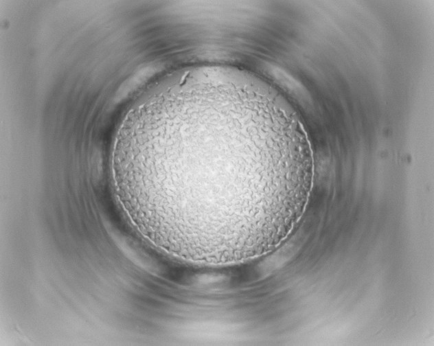 X0000088150158200705291431