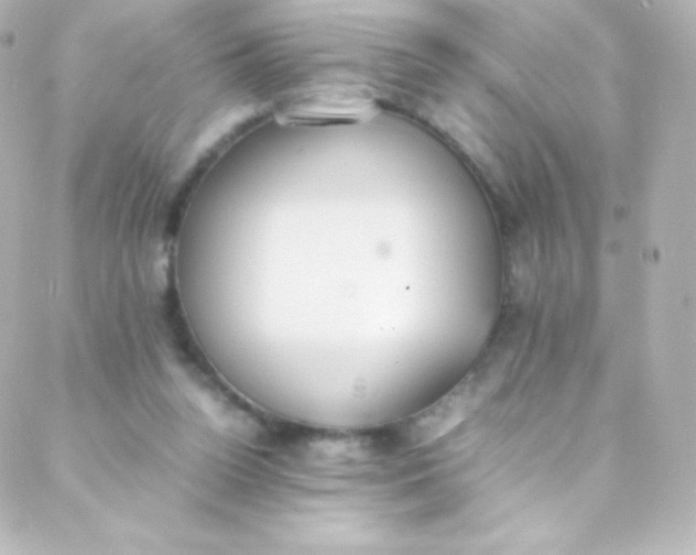 X0000088150160200705291431