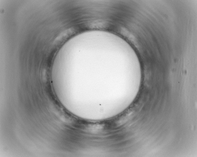 X0000088150161200705291431