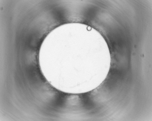 X0000088150162200705291431