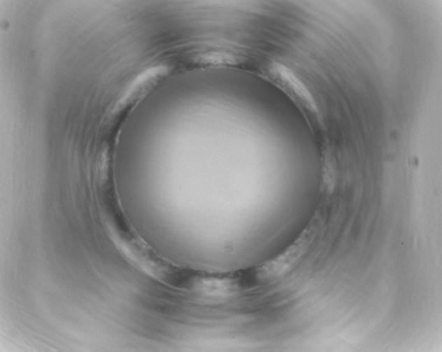 X0000088150163200705291431