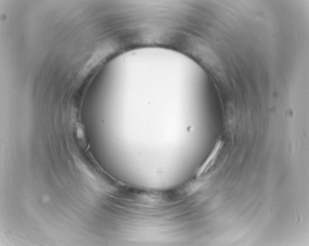 X0000088150164200705291431