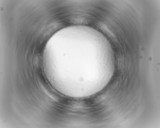 X0000088150165200705291431