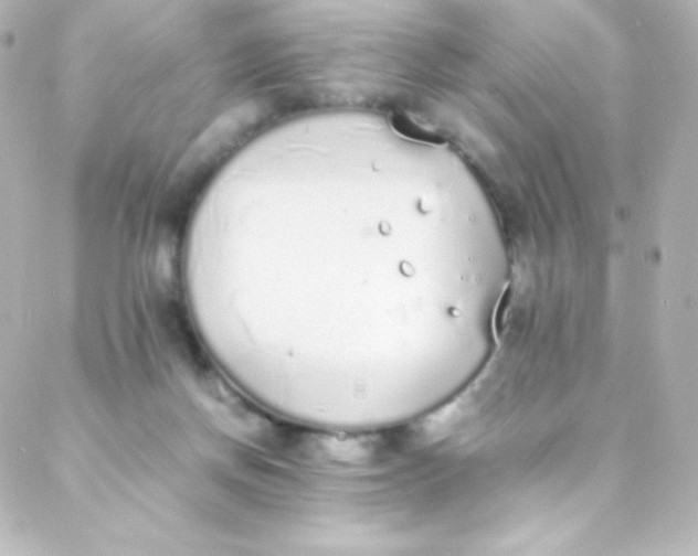 X0000088150166200705291431