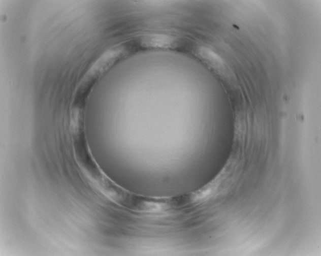 X0000088150167200705291431