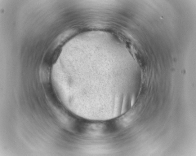 X0000088150168200705291431