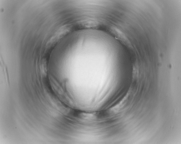 X0000088150170200705291431