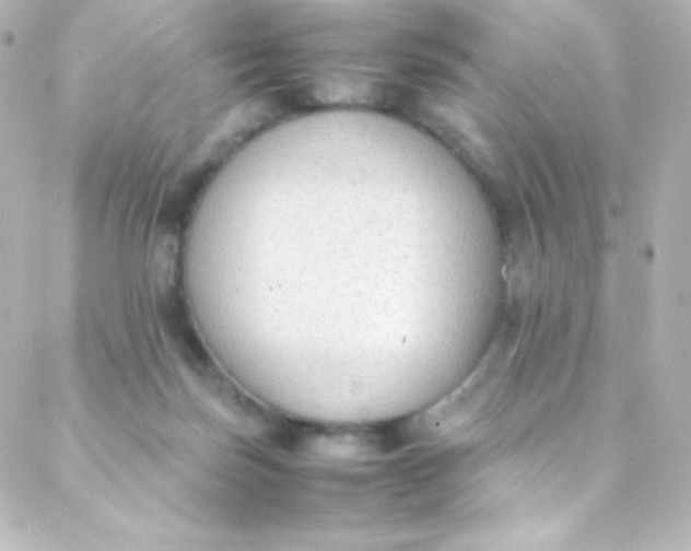 X0000088150171200705291431