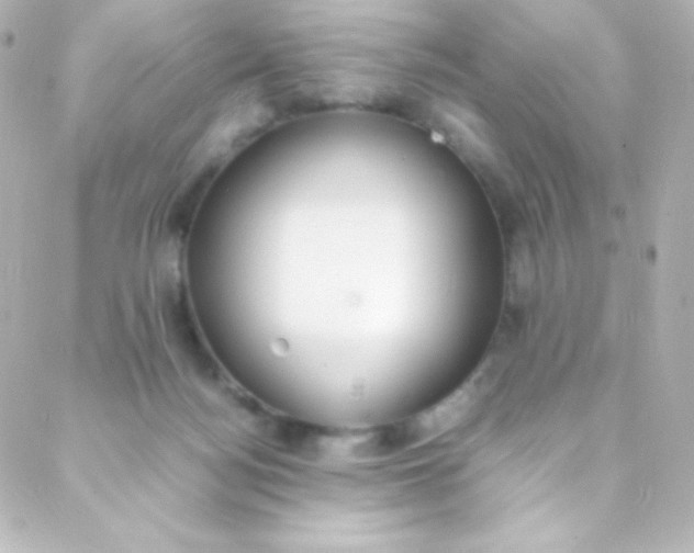 X0000088150172200705291432