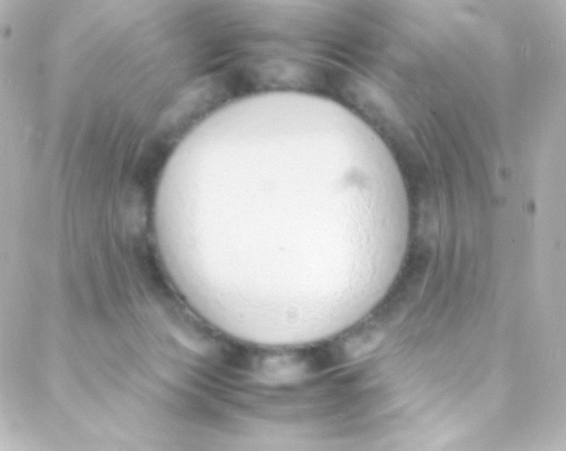 X0000088150173200705291432