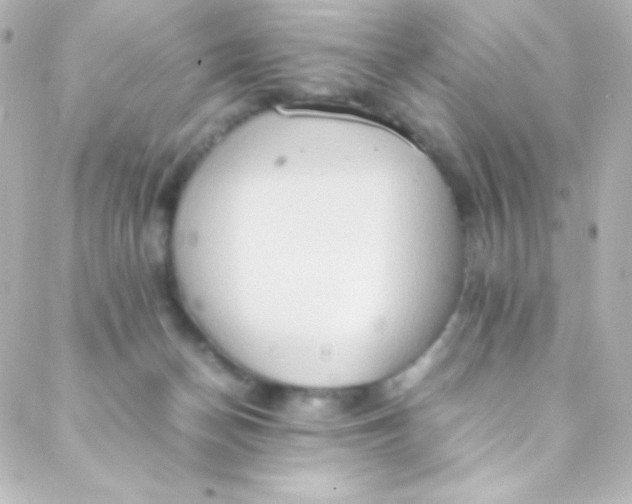 X0000088150174200705291432