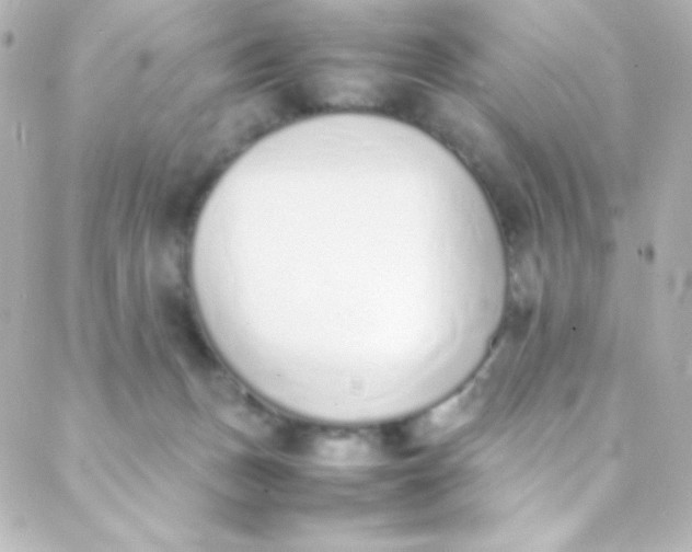 X0000088150175200705291432