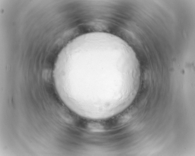 X0000088150177200705291432