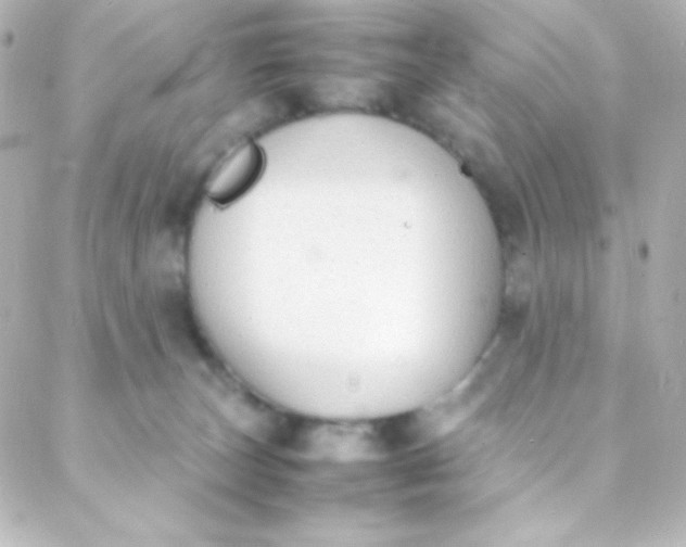 X0000088150179200705291432