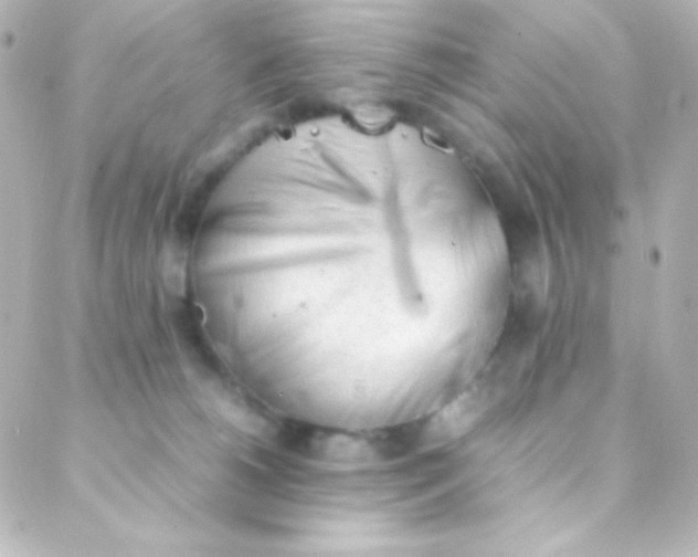 X0000088150180200705291432